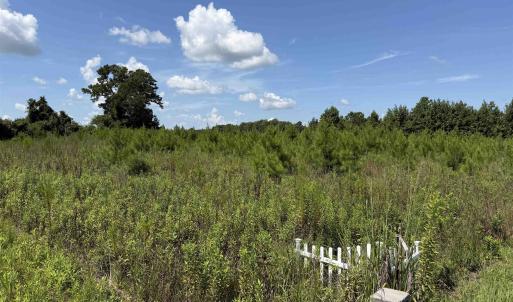 Photo #5 of 183 Dove Rd., Loris, SC 12.1 acres
