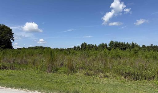 Photo #8 of 175 Dove Rd., Loris, SC 12.1 acres