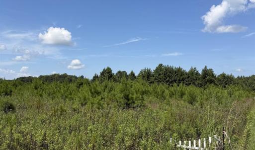 Photo #1 of 175 Dove Rd., Loris, SC 12.1 acres