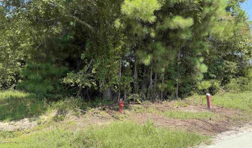 Photo #4 of 175 Dove Rd., Loris, SC 12.1 acres