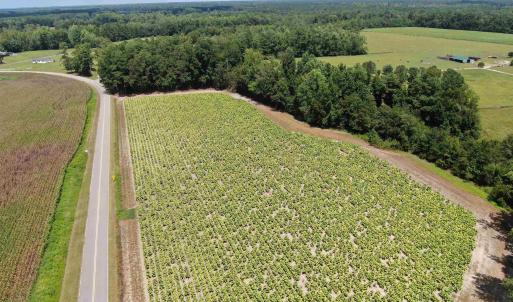 Photo #2 of TBD Black Creek Rd., Nichols, SC 7.1 acres