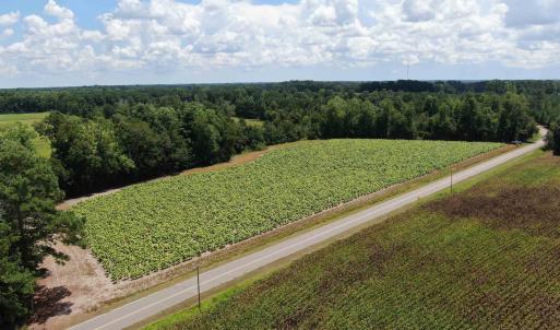 Photo #1 of TBD Black Creek Rd., Nichols, SC 7.1 acres