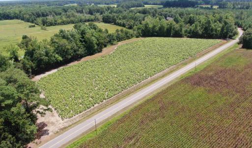 Photo #3 of TBD Black Creek Rd., Nichols, SC 7.1 acres