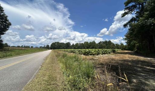 Photo #8 of TBD Black Creek Rd., Nichols, SC 7.1 acres