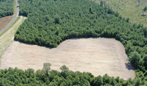 Photo #8 of TBD Pearlie Dr., Dillon, SC 105.0 acres
