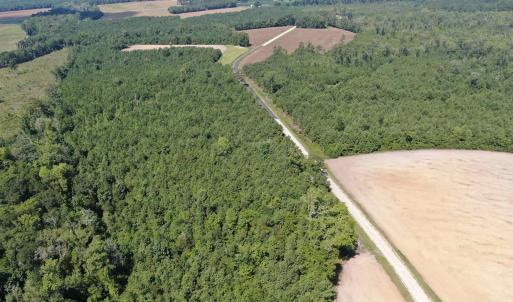 Photo #13 of TBD Pearlie Dr., Dillon, SC 105.0 acres