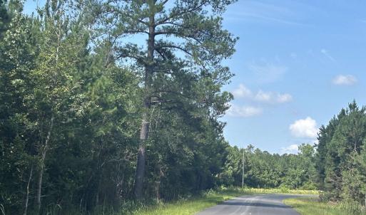 Photo #24 of TBD Pearlie Dr., Dillon, SC 105.0 acres