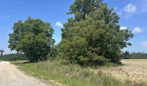 Photo #18 of TBD Pearlie Dr., Dillon, SC 105.0 acres