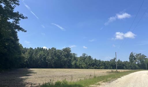 Photo #19 of TBD Pearlie Dr., Dillon, SC 105.0 acres