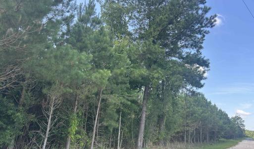 Photo #21 of TBD Pearlie Dr., Dillon, SC 105.0 acres