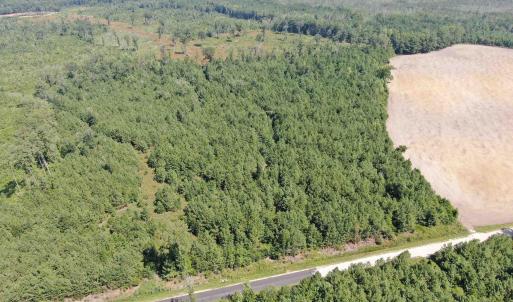 Photo #11 of TBD Pearlie Dr., Dillon, SC 105.0 acres