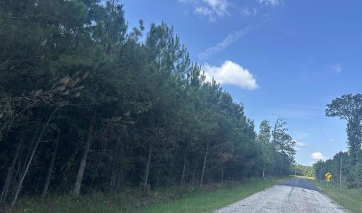 Photo #22 of TBD Pearlie Dr., Dillon, SC 105.0 acres