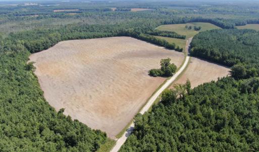 Photo #10 of TBD Pearlie Dr., Dillon, SC 105.0 acres