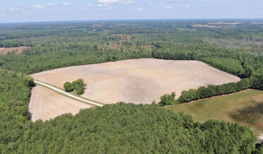 Photo #5 of TBD Pearlie Dr., Dillon, SC 105.0 acres