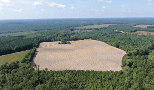 Photo #6 of TBD Pearlie Dr., Dillon, SC 105.0 acres