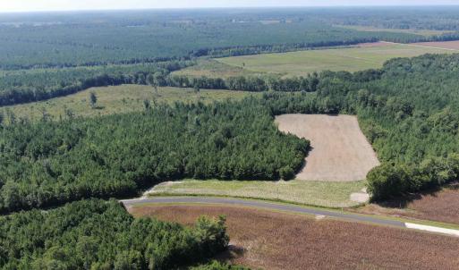 Photo #7 of TBD Pearlie Dr., Dillon, SC 105.0 acres