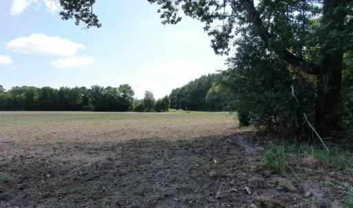 Photo #3 of TBD Pearlie Dr., Dillon, SC 105.0 acres