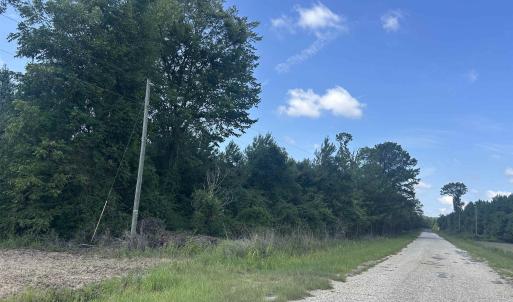 Photo #20 of TBD Pearlie Dr., Dillon, SC 105.0 acres