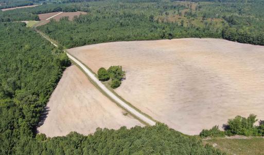 Photo #14 of TBD Pearlie Dr., Dillon, SC 105.0 acres