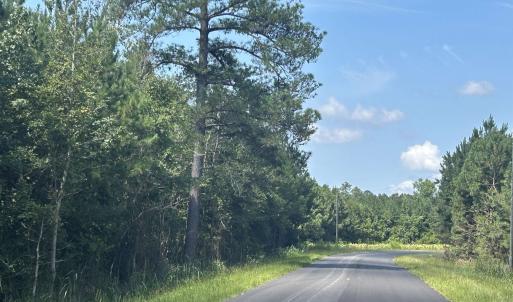 Photo #23 of TBD Pearlie Dr., Dillon, SC 105.0 acres
