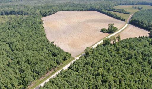 Photo #12 of TBD Pearlie Dr., Dillon, SC 105.0 acres