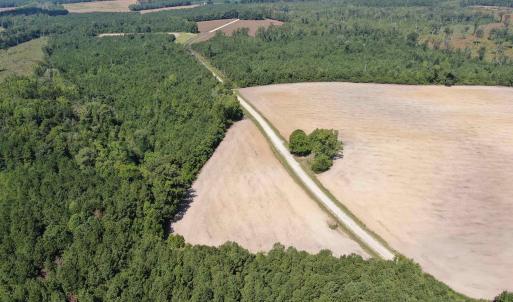 Photo #15 of TBD Pearlie Dr., Dillon, SC 105.0 acres
