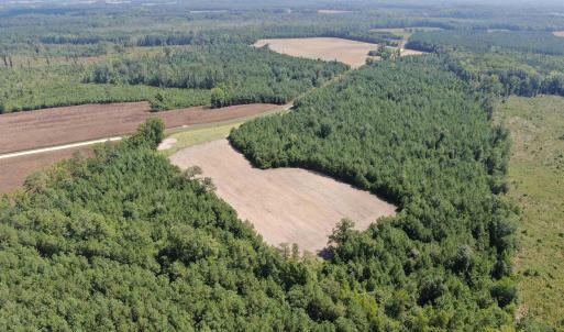 Photo #9 of TBD Pearlie Dr., Dillon, SC 105.0 acres