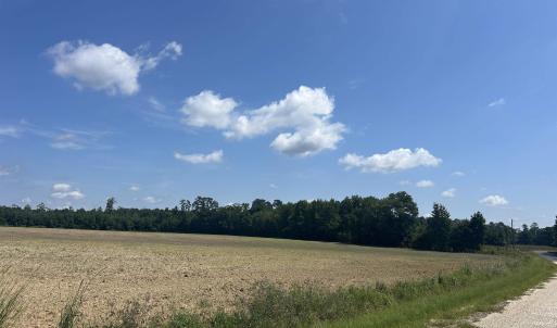 Photo #17 of TBD Pearlie Dr., Dillon, SC 105.0 acres
