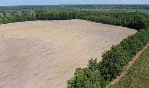 Photo #16 of TBD Pearlie Dr., Dillon, SC 105.0 acres