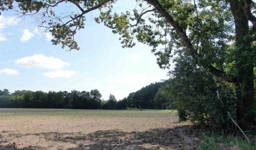 Photo #4 of TBD Pearlie Dr., Dillon, SC 105.0 acres