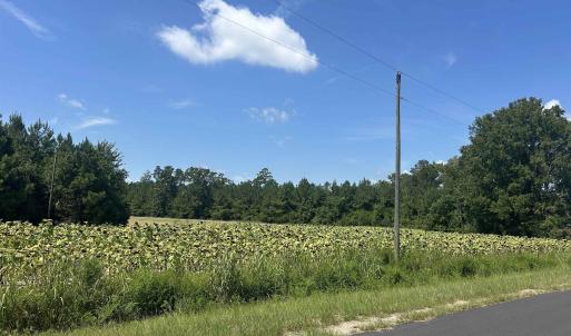 Photo #25 of TBD Pearlie Dr., Dillon, SC 105.0 acres