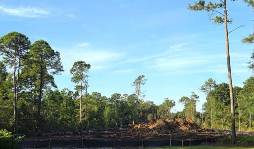 Photo #2 of 885 Martin Luther King Rd., Pawleys Island, SC 3.5 acres