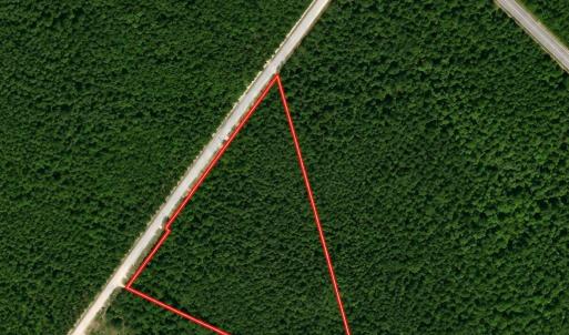Photo #1 of TBD Wolf Pit Bay Rd., Nichols, SC 9.7 acres