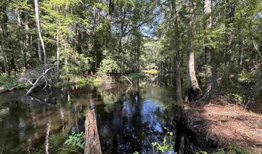 Photo #22 of TBD Mount Calvary Rd., Dillon, SC 146.5 acres