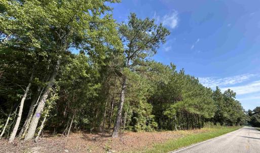 Photo #14 of TBD Mount Calvary Rd., Dillon, SC 146.5 acres