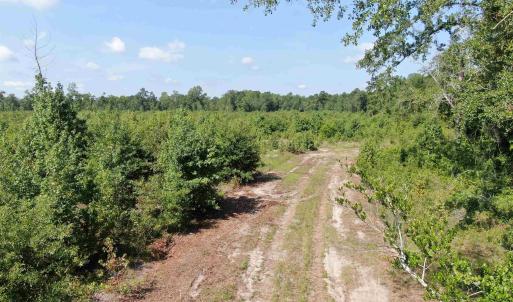 Photo #2 of TBD Mount Calvary Rd., Dillon, SC 146.5 acres
