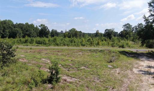 Photo #13 of TBD Mount Calvary Rd., Dillon, SC 146.5 acres