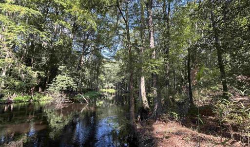 Photo #1 of TBD Mount Calvary Rd., Dillon, SC 146.5 acres