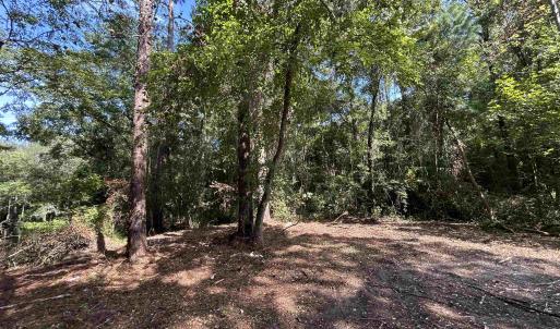 Photo #20 of TBD Mount Calvary Rd., Dillon, SC 146.5 acres