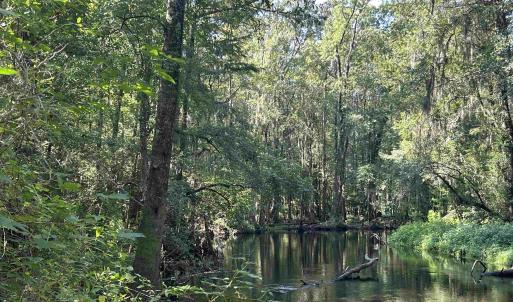Photo #21 of TBD Mount Calvary Rd., Dillon, SC 146.5 acres