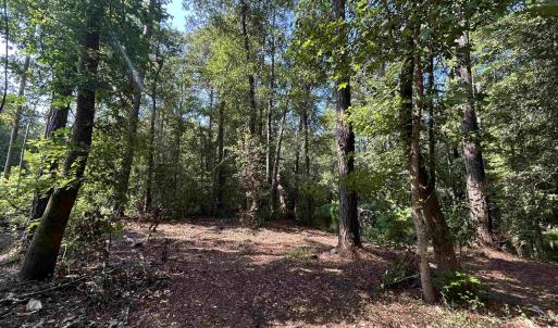Photo #19 of TBD Mount Calvary Rd., Dillon, SC 146.5 acres
