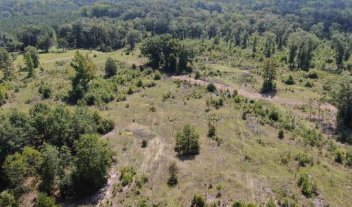 Photo #10 of TBD Mount Calvary Rd., Dillon, SC 146.5 acres
