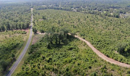 Photo #7 of TBD Mount Calvary Rd., Dillon, SC 146.5 acres