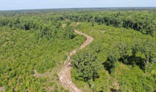 Photo #6 of TBD Mount Calvary Rd., Dillon, SC 146.5 acres