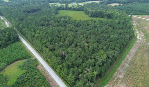 Photo #2 of LOT1 Fries Bay Rd., Loris, SC 1.5 acres