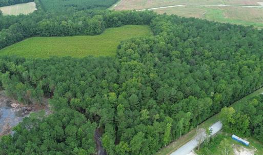 Photo #4 of LOT 2 Fries Bay Rd., Loris, SC 2.7 acres