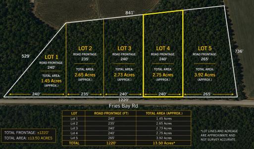 Photo #1 of LOT 4 Fries Bay Rd., Loris, SC 2.8 acres