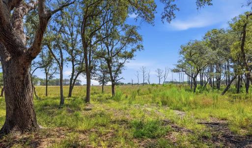 Photo #11 of 279 Midden Ln., Pawleys Island, SC 1.9 acres