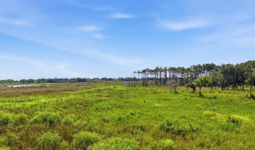 Photo #15 of 279 Midden Ln., Pawleys Island, SC 1.9 acres