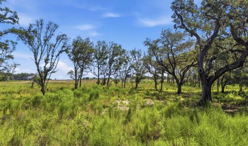 Photo #14 of 279 Midden Ln., Pawleys Island, SC 1.9 acres
